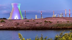 בזן, צילום: שגיא מורן